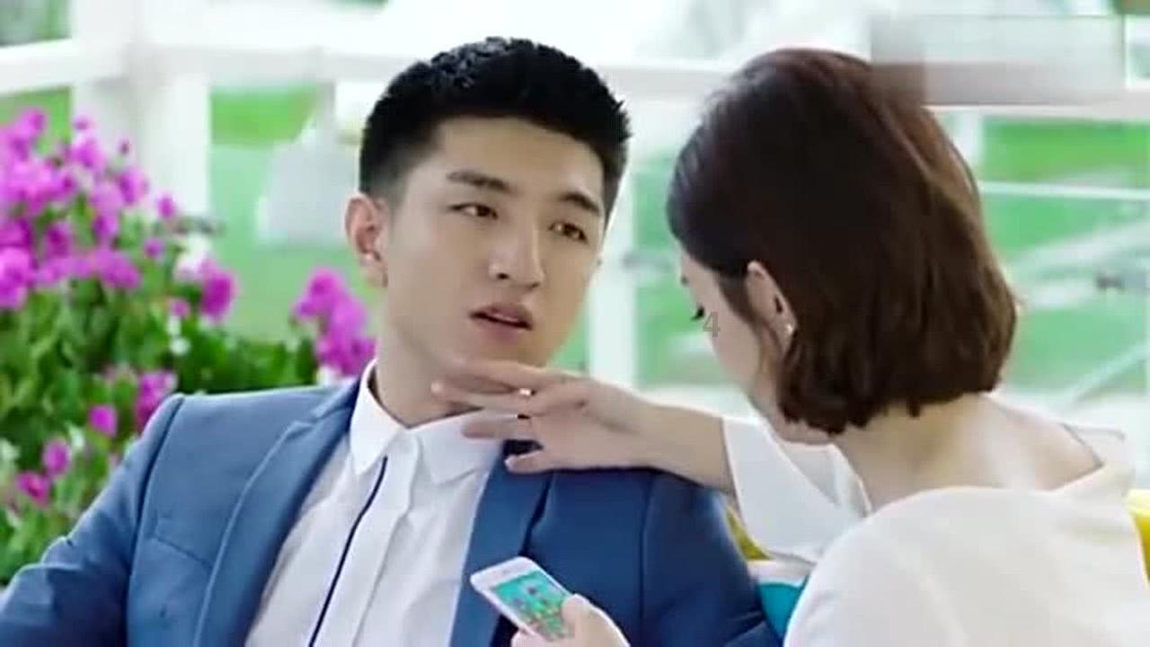 动物帮帮忙保卫家园